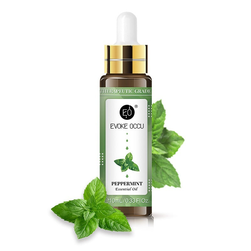 Rose & Lavender Aromatherapy Essential Oil – Relaxing Blend with Dropper (10ml)