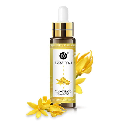 Rose & Lavender Aromatherapy Essential Oil – Relaxing Blend with Dropper (10ml)