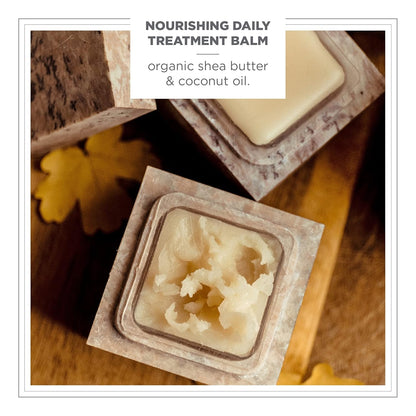 Concreta Firming Repair Balm & Solid Parfum (Petal Fragrance) | Moisturizing Shea Butter & Coconut Oil for Skin | 1.25 Fl Oz