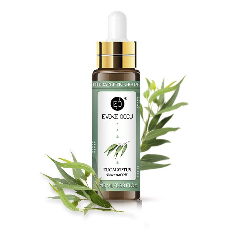 Rose & Lavender Aromatherapy Essential Oil – Relaxing Blend with Dropper (10ml)