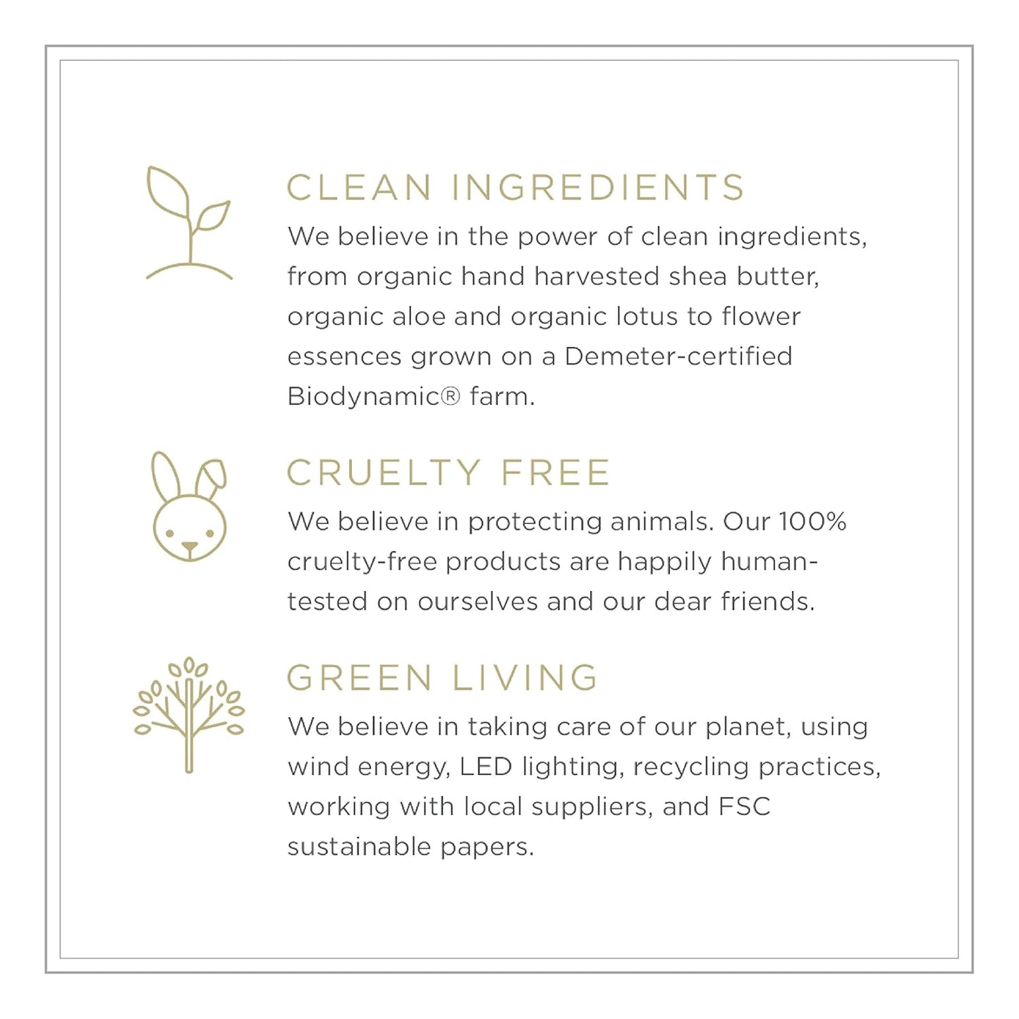 Concreta Firming Repair Balm & Solid Parfum (Petal Fragrance) | Moisturizing Shea Butter & Coconut Oil for Skin | 1.25 Fl Oz