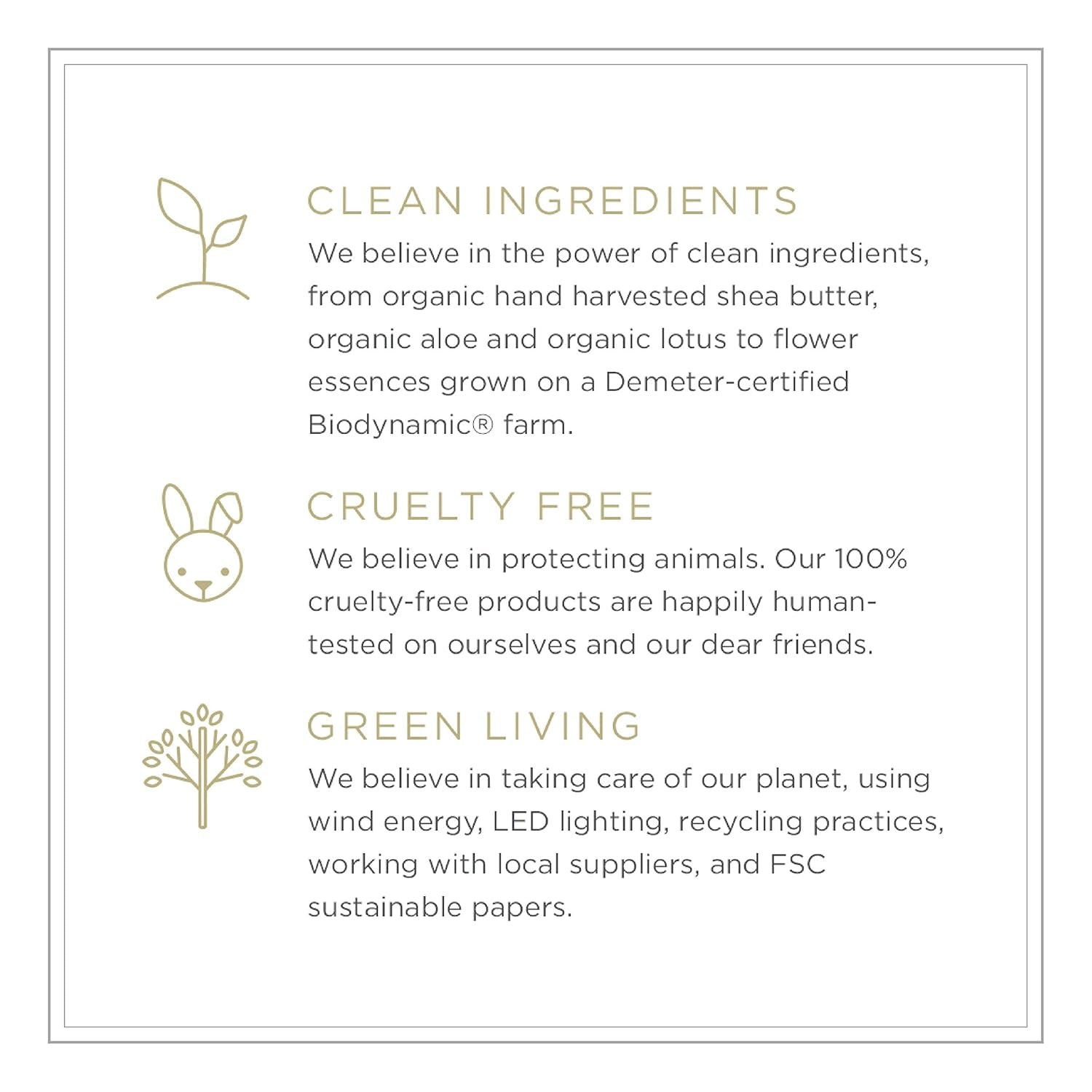 Concreta Firming Repair Balm & Solid Parfum (Petal Fragrance) | Moisturizing Shea Butter & Coconut Oil for Skin | 1.25 Fl Oz